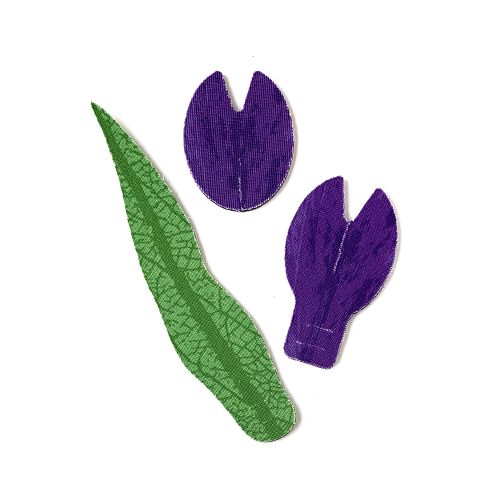 Tulippa
 Colore-Viola